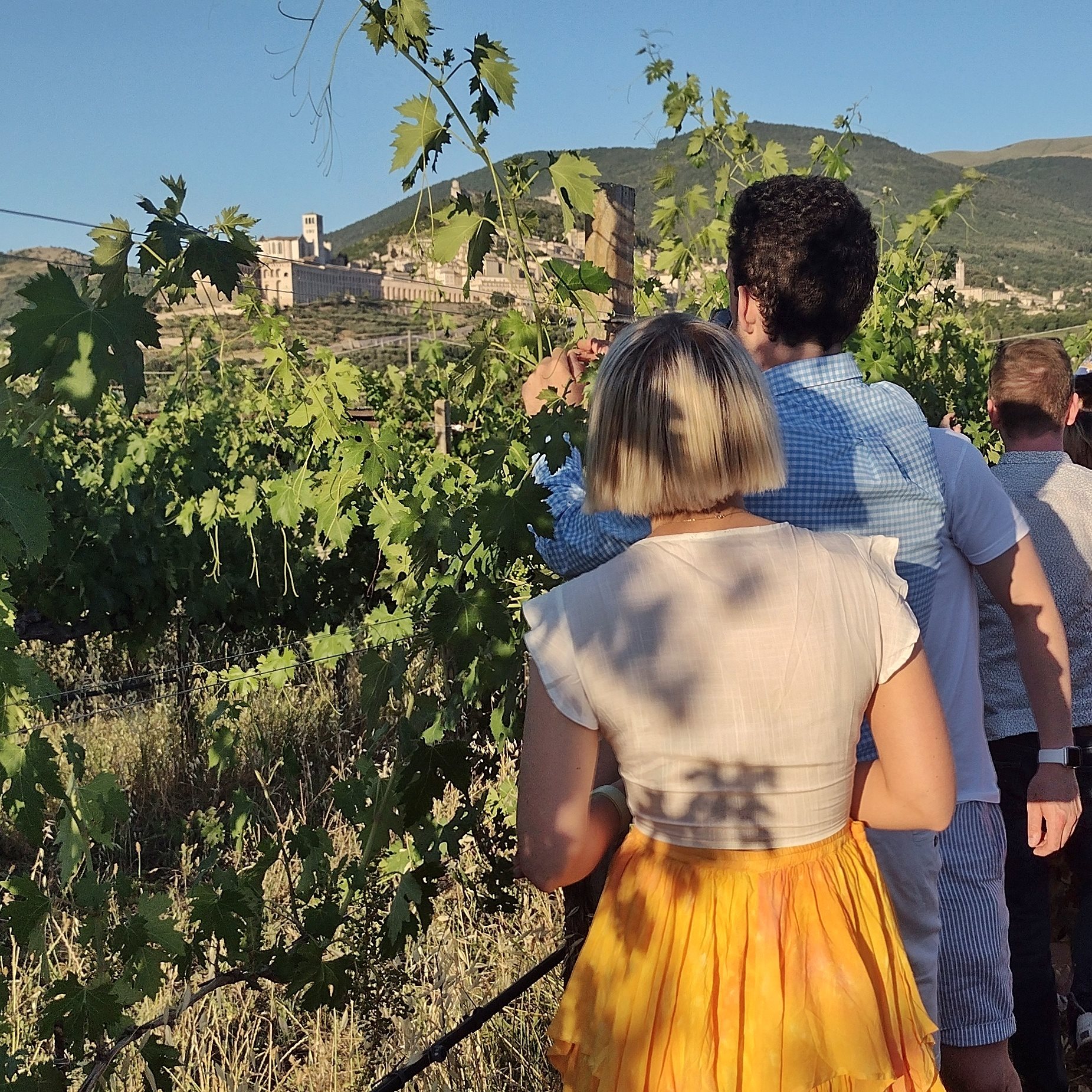 Mittagessen mit geführter Verkostung von 5 Weinen und Panoramaspaziergang in den Weinbergen von Assisi